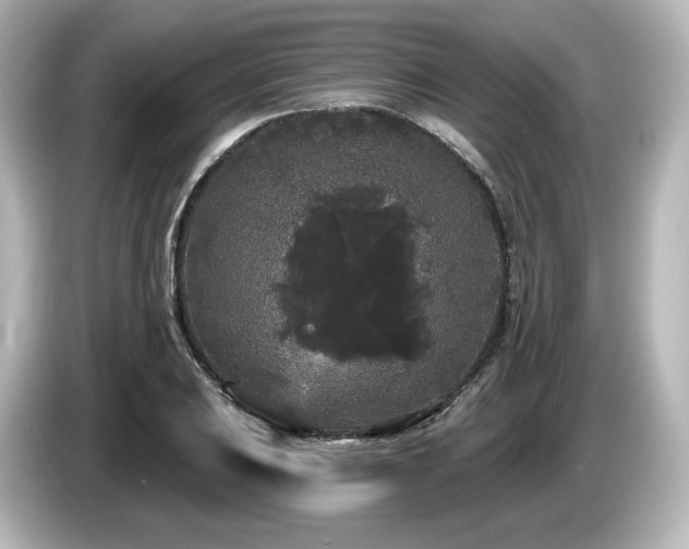 X0000085761031200703161113
