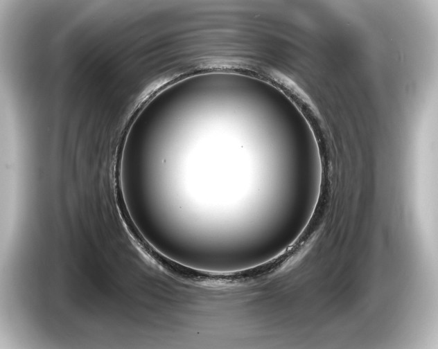 X0000085761033200703161113