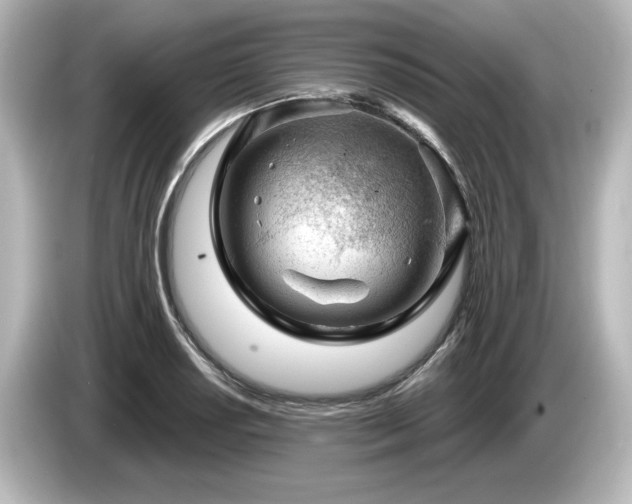 X0000085761034200703161113