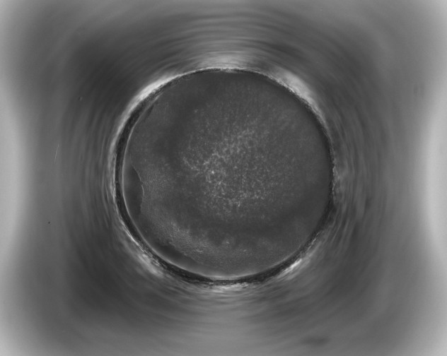 X0000085761035200703161113