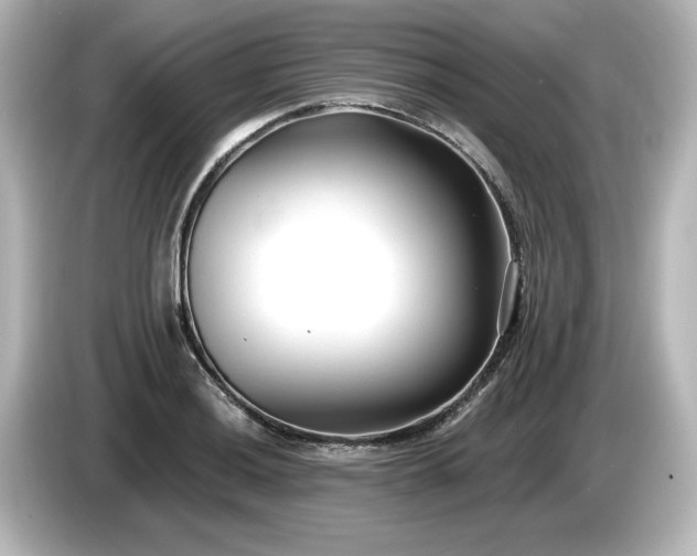 X0000085761036200703161113
