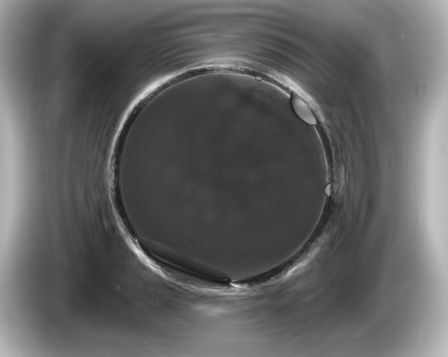 X0000085761037200703161113