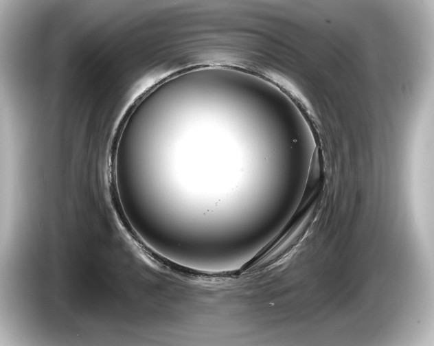 X0000085761040200703161113