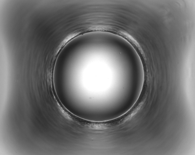 X0000085761041200703161113
