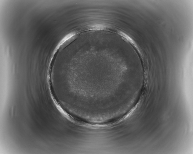 X0000085761042200703161113