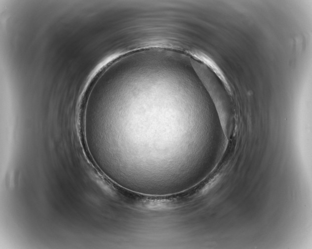X0000085761043200703161113