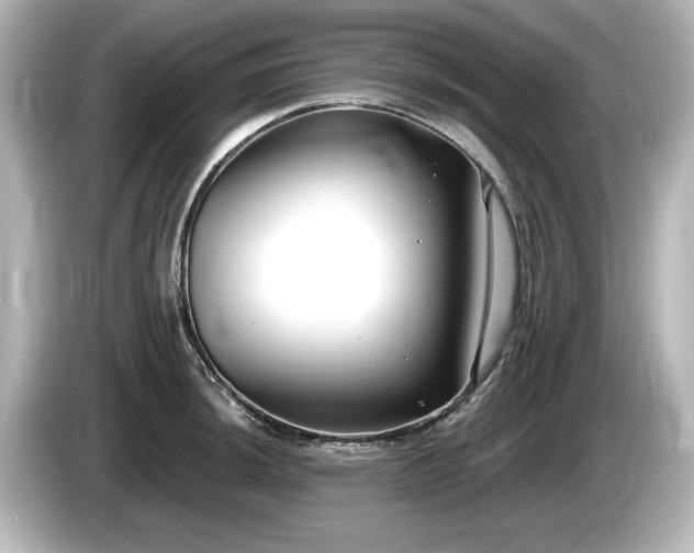 X0000085761044200703161113