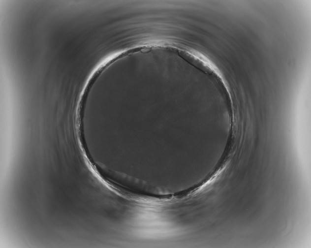 X0000085761045200703161113