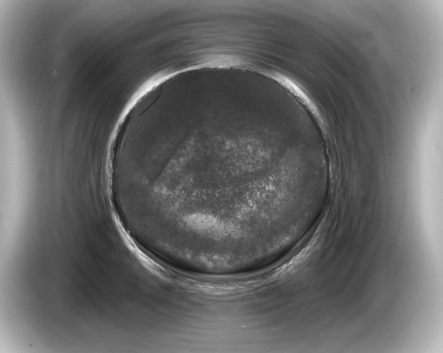 X0000085761046200703161113