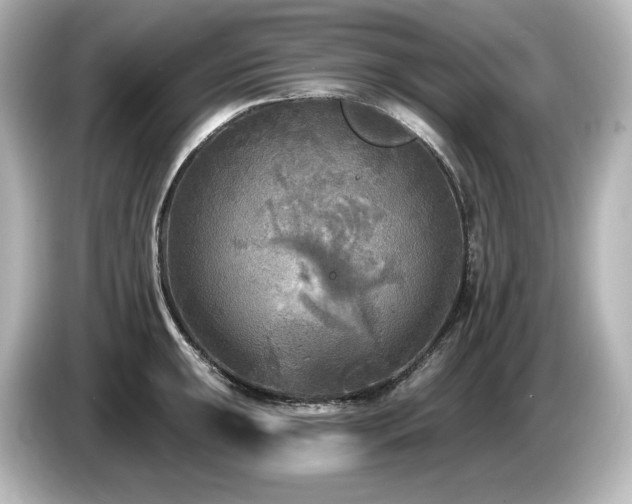 X0000085761047200703161113