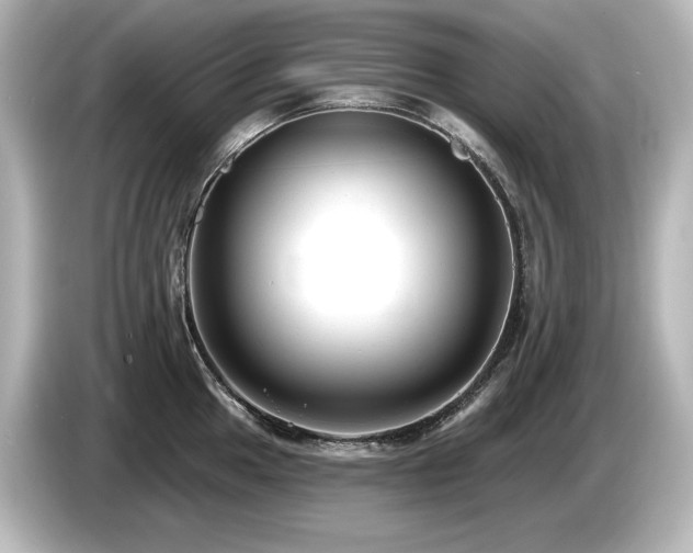 X0000085761049200703161113