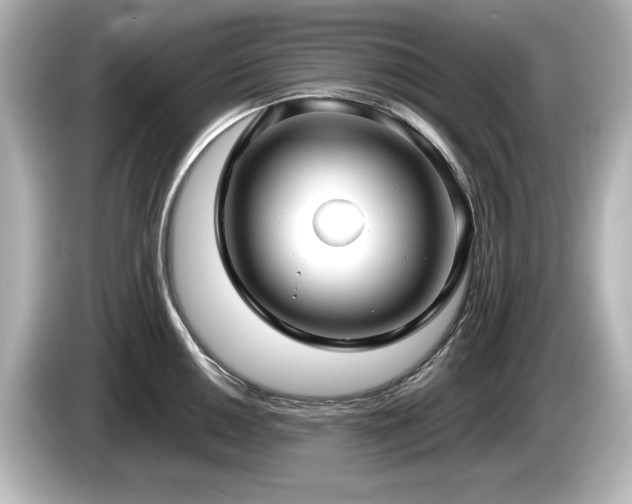 X0000085761050200703161113