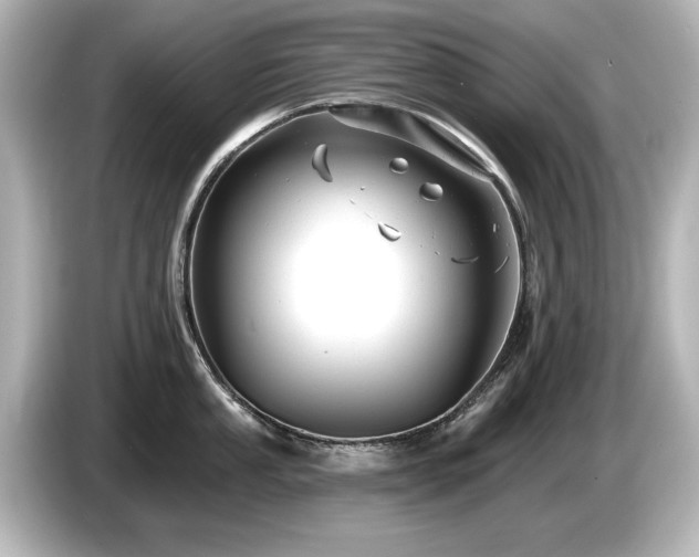 X0000085761053200703161113