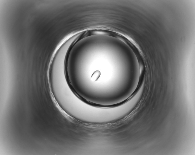 X0000085761054200703161113