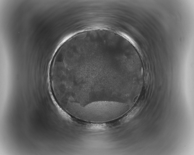 X0000085761055200703161113