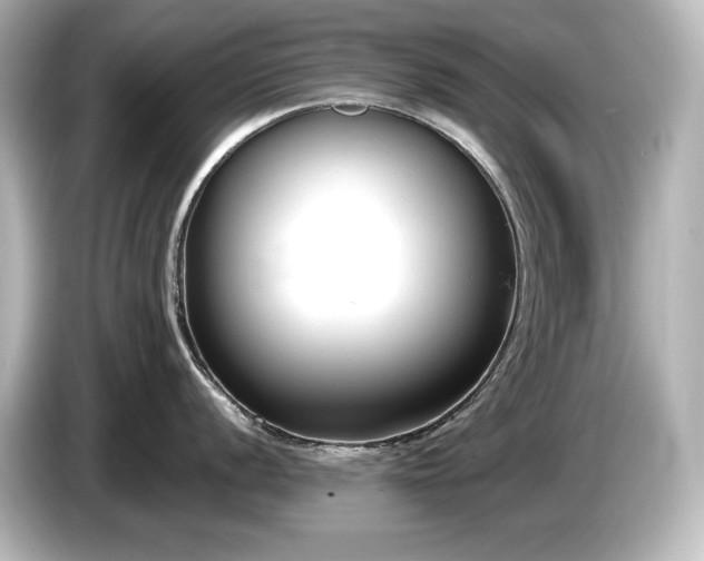 X0000085761056200703161113