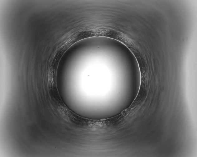X0000085761058200703161113