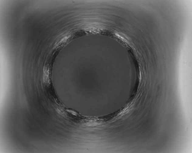 X0000085761060200703161113