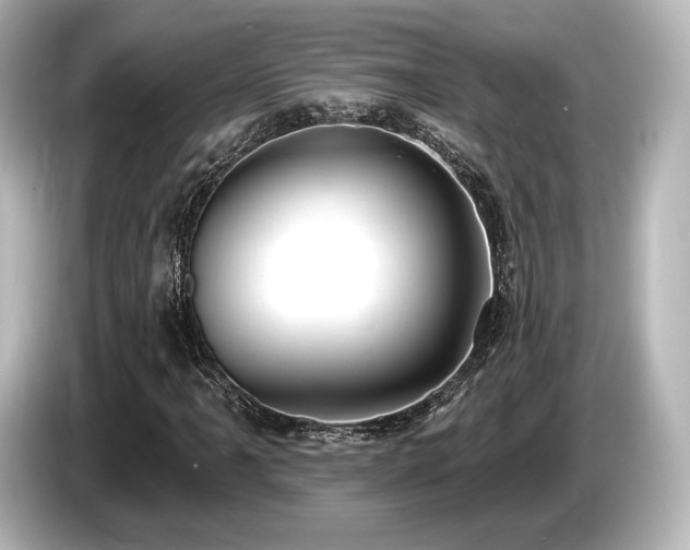 X0000085761061200703161113