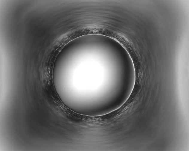 X0000085761062200703161113