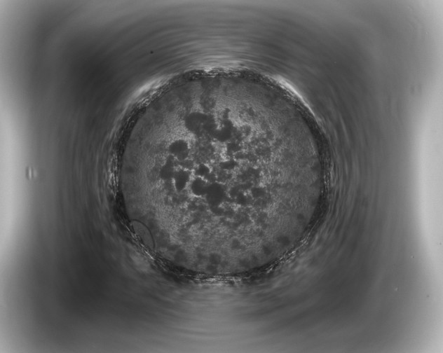 X0000085761063200703161113