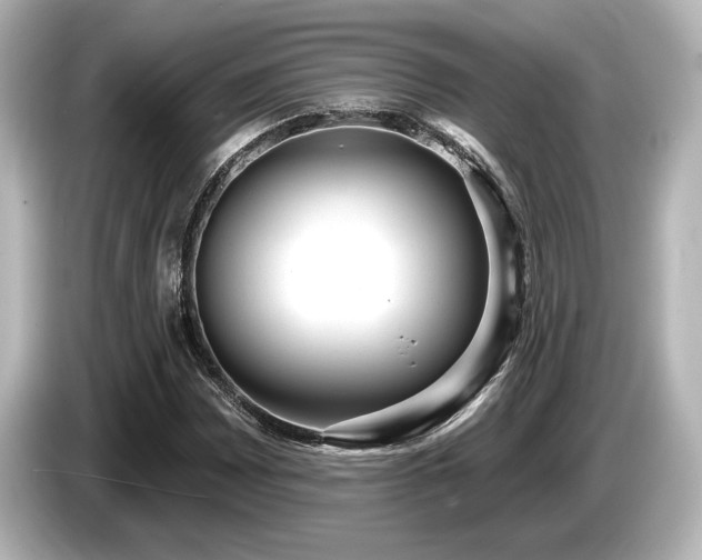 X0000085761065200703161112