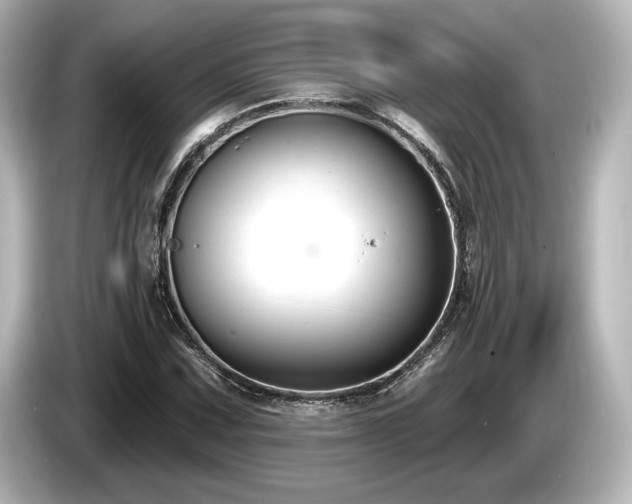X0000085761067200703161112
