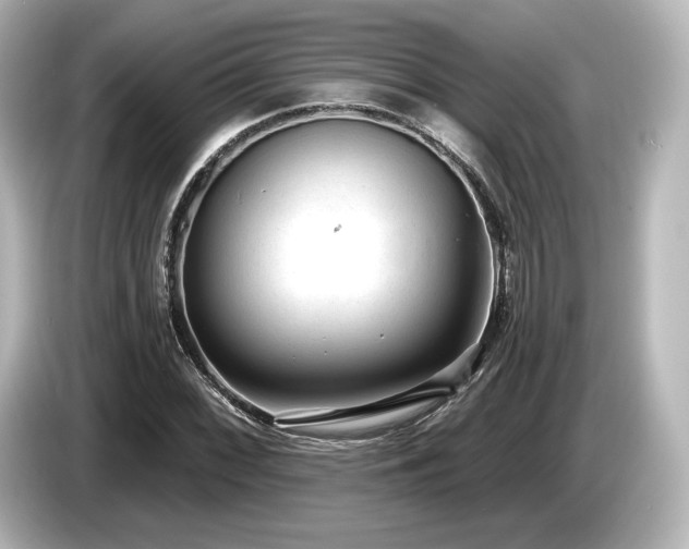 X0000085761068200703161112