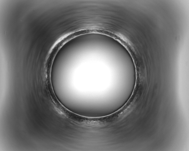 X0000085761070200703161112