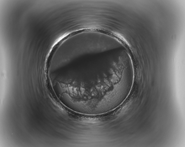 X0000085761071200703161112