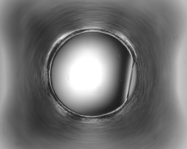 X0000085761072200703161112