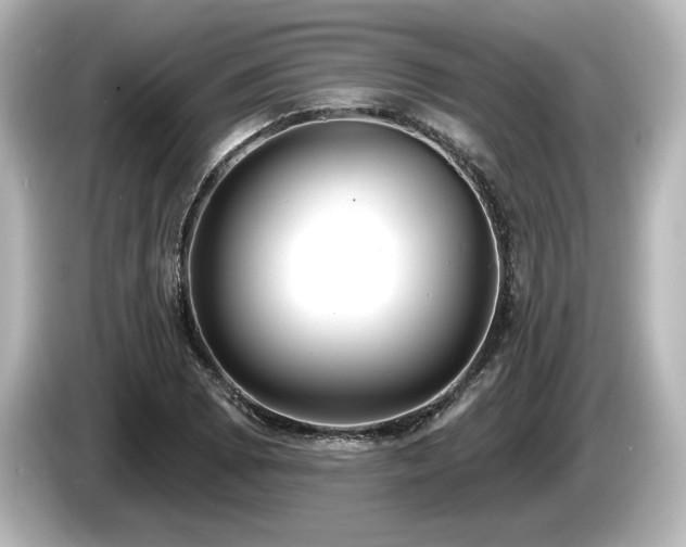X0000085761073200703161112