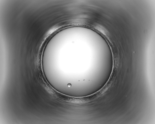 X0000085761074200703161112