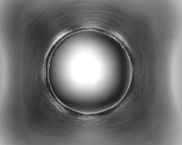 X0000085761076200703161112