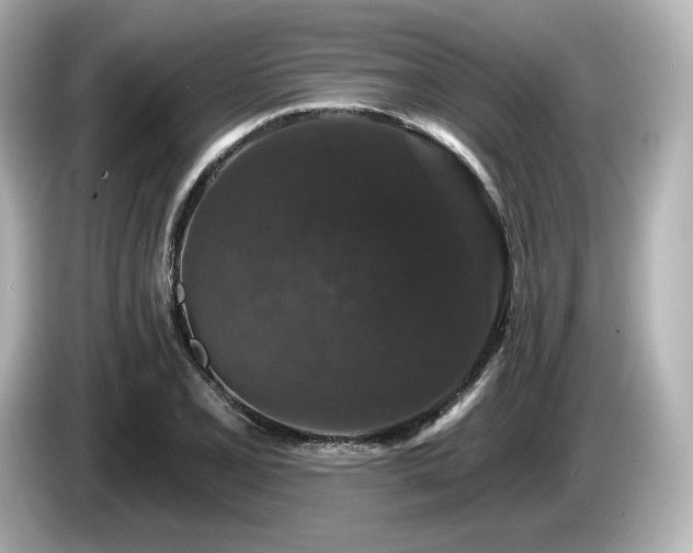 X0000085761077200703161112