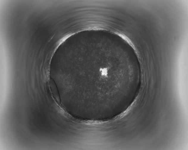 X0000085761081200703161112