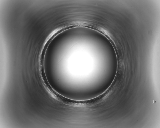 X0000085761082200703161112