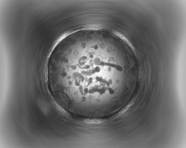 X0000085761083200703161112