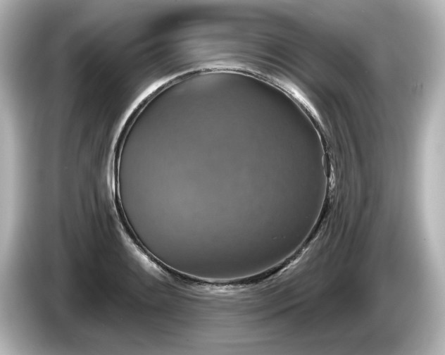 X0000085761084200703161112