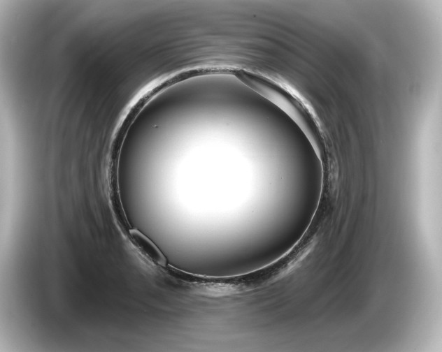 X0000085761085200703161112