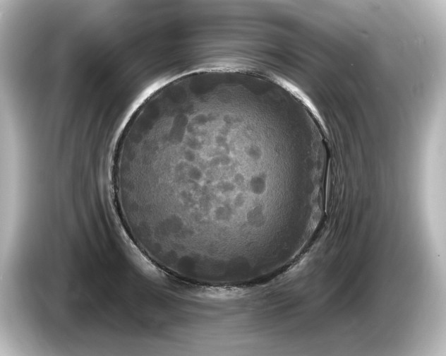 X0000085761091200703161112
