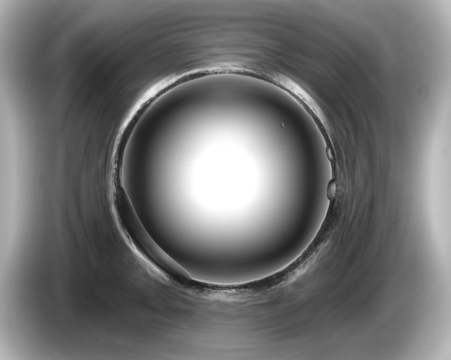 X0000085761093200703161112