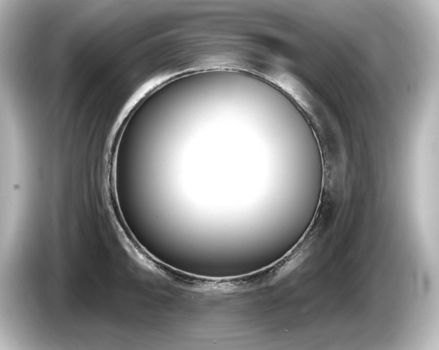 X0000085761094200703161112