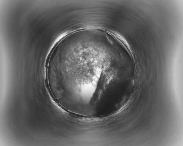 X0000085761095200703161112