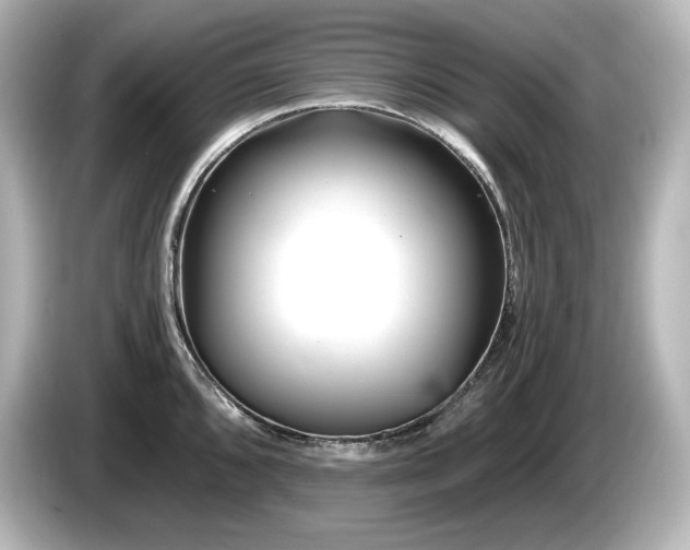 X0000085761096200703161112