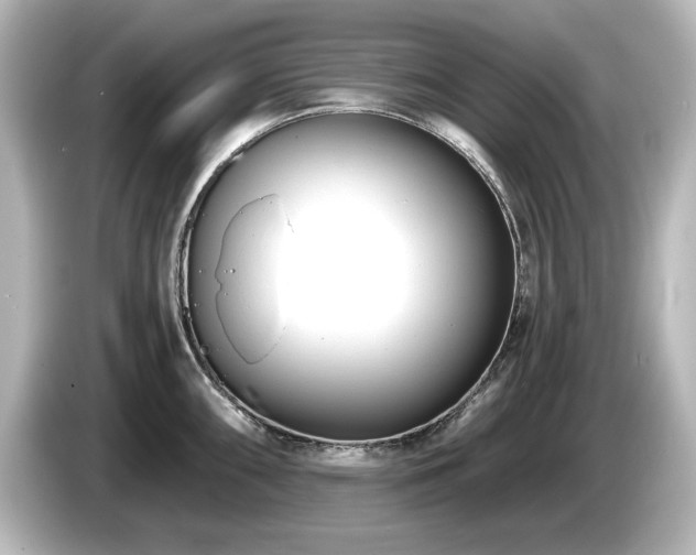 X0000085761098200703161112