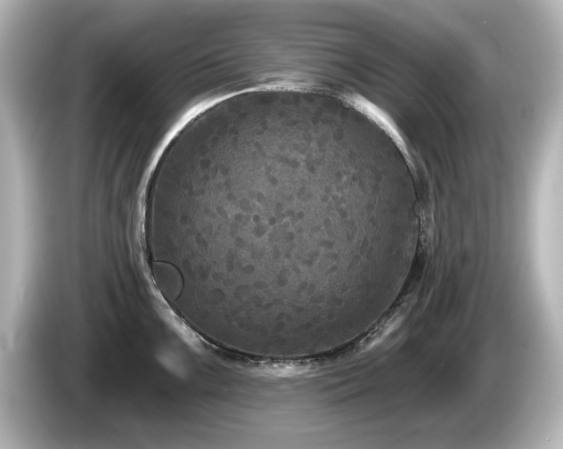 X0000085761099200703161112