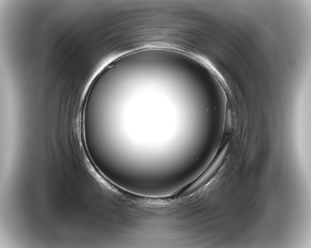 X0000085761100200703161112