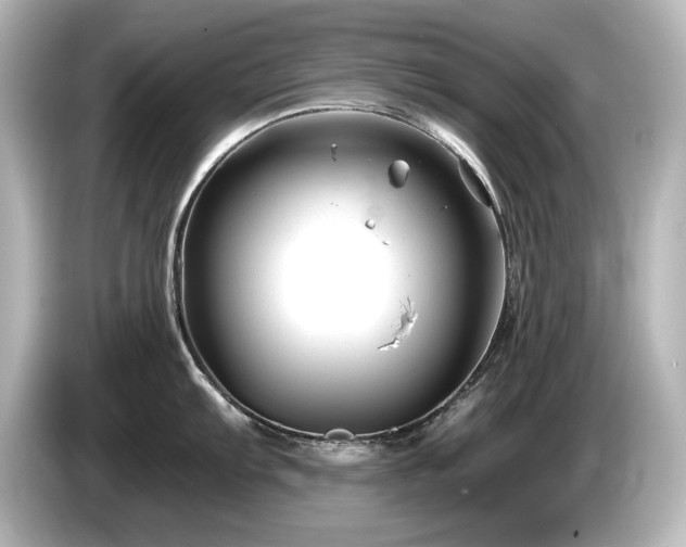 X0000085761103200703161112
