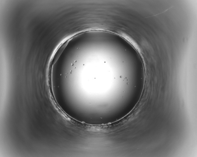 X0000085761104200703161112